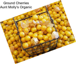 Ground Cherries Aunt Molly\'s Organic