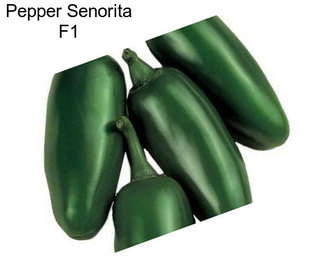 Pepper Senorita F1