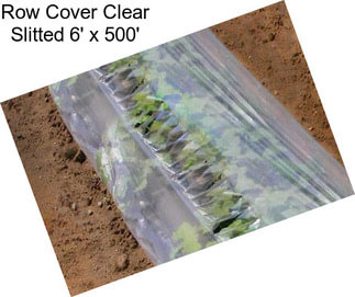 Row Cover Clear Slitted 6\' x 500\'