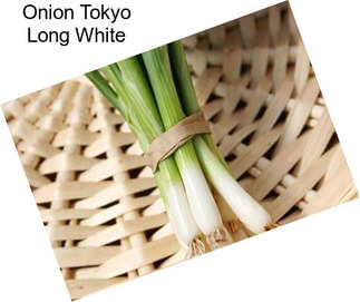 Onion Tokyo Long White