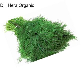 Dill Hera Organic