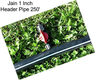 Jain 1 Inch Header Pipe 250\'