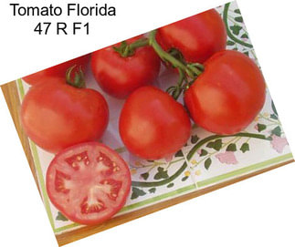 Tomato Florida 47 R F1