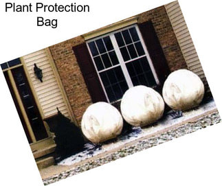 Plant Protection Bag