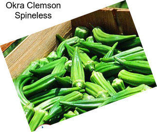 Okra Clemson Spineless