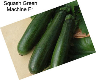 Squash Green Machine F1