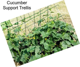 Cucumber Support Trellis