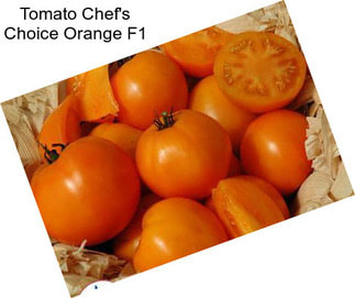 Tomato Chef\'s Choice Orange F1