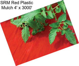 SRM Red Plastic Mulch 4\' x 3000\'