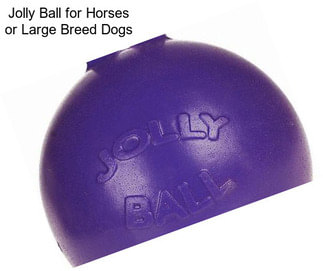 Jolly Ball for Horses or Large Breed Dogs