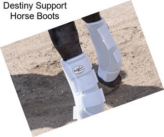 Destiny Support Horse Boots