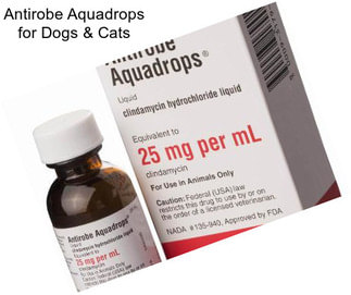 Antirobe Aquadrops for Dogs & Cats