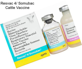 Resvac 4/ Somubac Cattle Vaccine