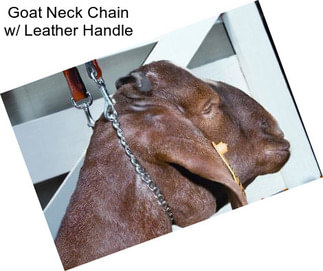 Goat Neck Chain w/ Leather Handle