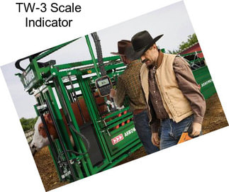 TW-3 Scale Indicator