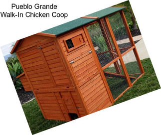 Pueblo Grande Walk-In Chicken Coop