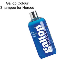 Gallop Colour Shampoo for Horses