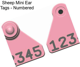 Sheep Mini Ear Tags - Numbered