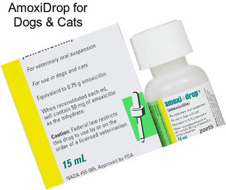 AmoxiDrop for Dogs & Cats