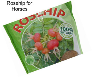 Rosehip for Horses