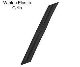 Wintec Elastic Girth