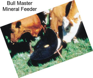 Bull Master Mineral Feeder