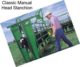 Classic Manual Head Stanchion