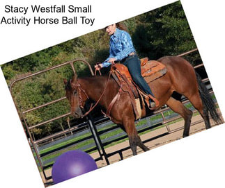 Stacy Westfall Small Activity Horse Ball Toy