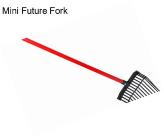 Mini Future Fork