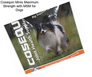 Cosequin Minis Maximum Strength with MSM for Dogs
