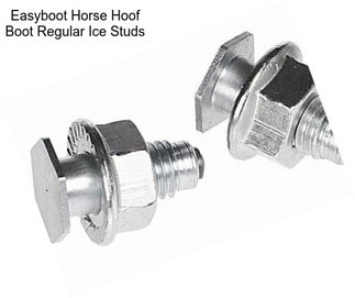 Easyboot Horse Hoof Boot Regular Ice Studs