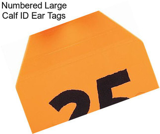 Numbered Large Calf ID Ear Tags