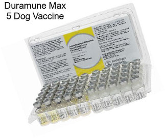 Duramune Max 5 Dog Vaccine