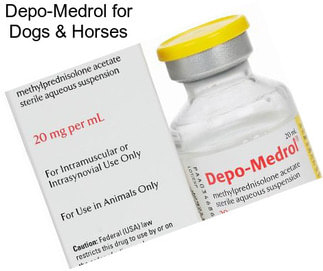 Depo-Medrol for Dogs & Horses