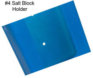 #4 Salt Block Holder