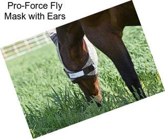 Pro-Force Fly Mask with Ears