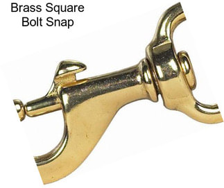 Brass Square Bolt Snap