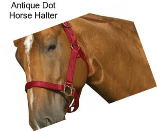 Antique Dot Horse Halter