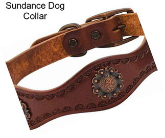 Sundance Dog Collar