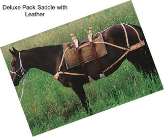 Deluxe Pack Saddle with Leather