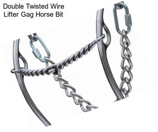 Double Twisted Wire Lifter Gag Horse Bit