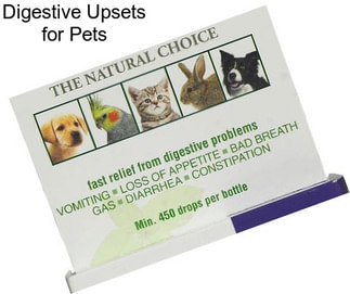 Digestive Upsets for Pets