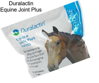 Duralactin Equine Joint Plus