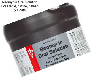 Neomycin Oral Solution For Cattle, Swine, Sheep & Goats