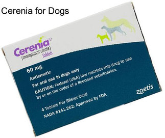 Cerenia for Dogs