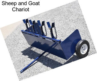 Sheep and Goat Chariot