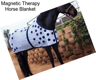 Magnetic Therapy Horse Blanket