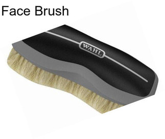 Face Brush