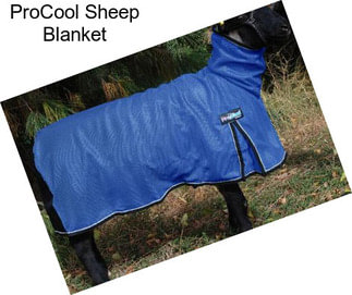 ProCool Sheep Blanket