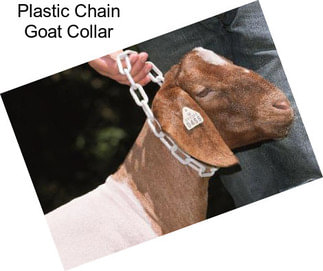 Plastic Chain Goat Collar